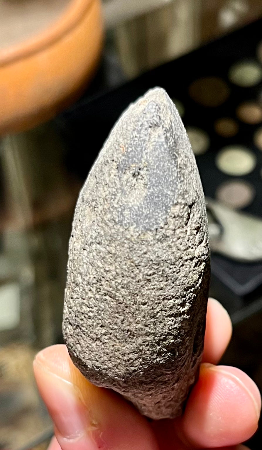 Steinzeit Fragment Flachbeil