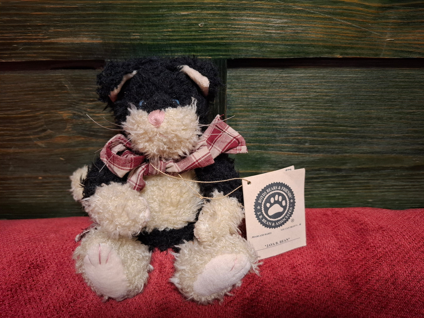 Katze mit Gelenken Java. B. Bean Boyds Bears and Friends