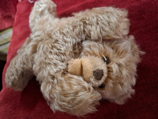 Vintage Schlafender Bär