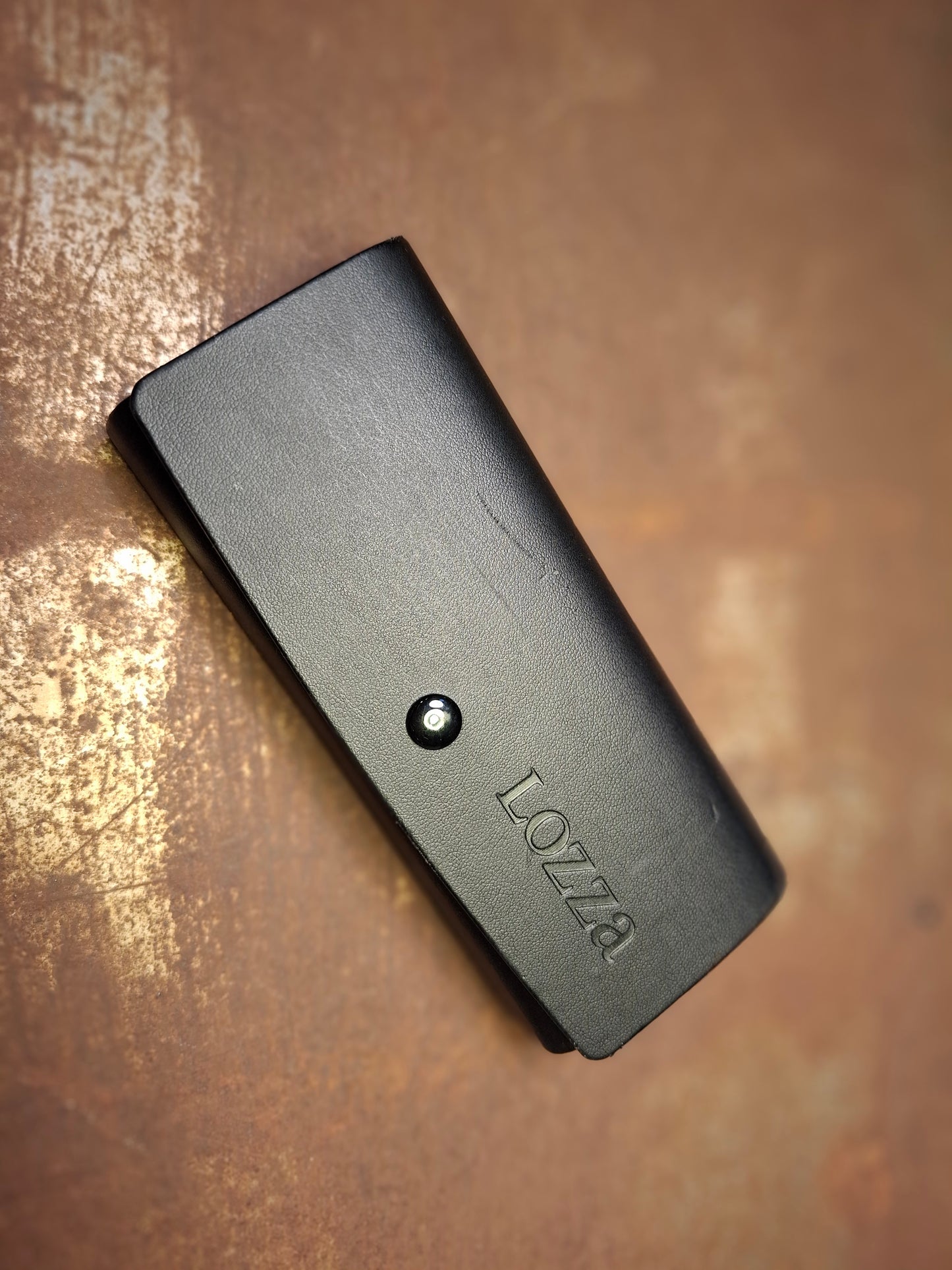 Sonnenbrillenetui von Lozza