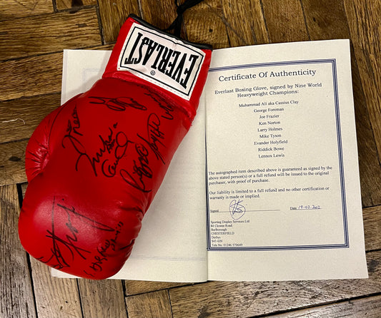 Boxhandschuh mit 9 Weltmeister Unterschriften