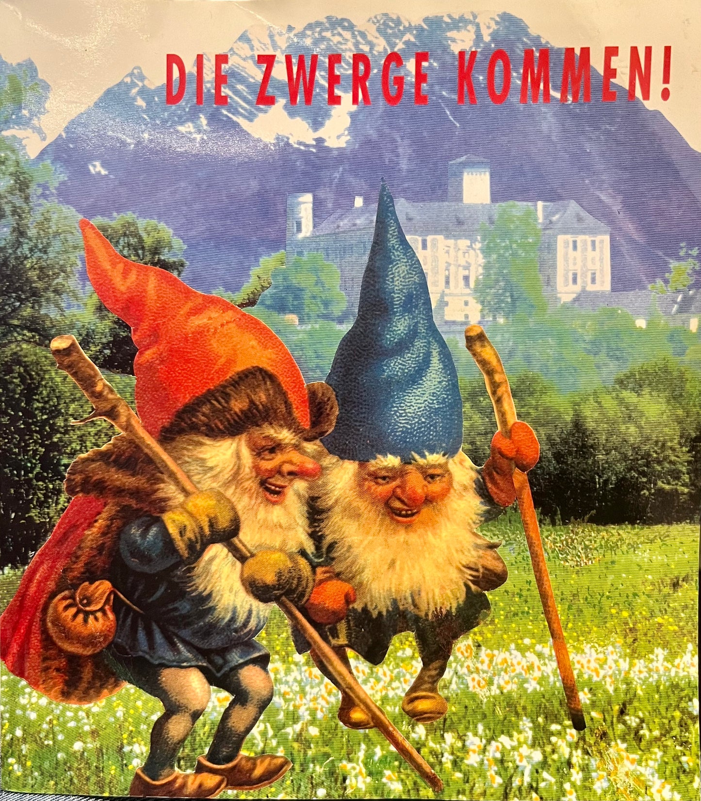 Buch Die Zwerge kommen!