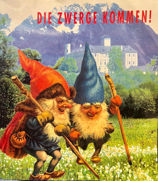 Buch Die Zwerge kommen!