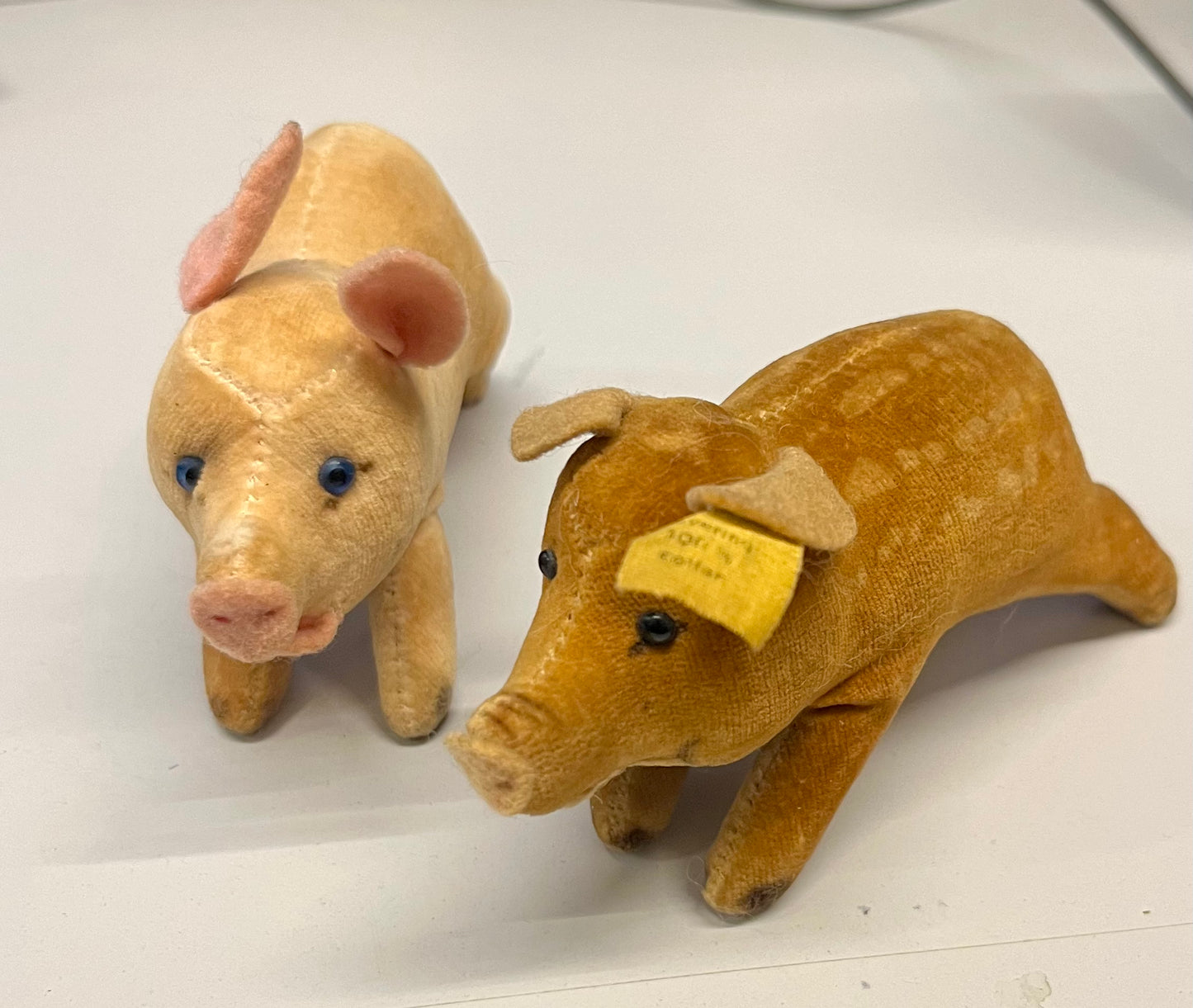 Lot 2 Steiff Schweinchen