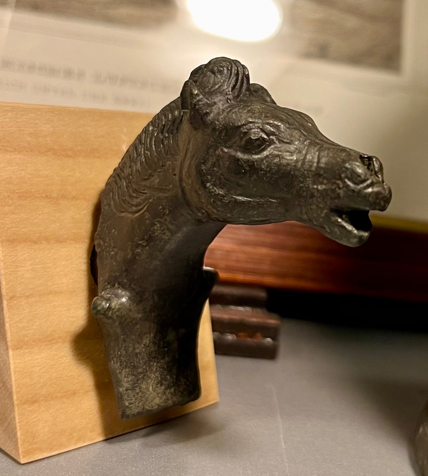 Römische Bronze Pferdekopf
