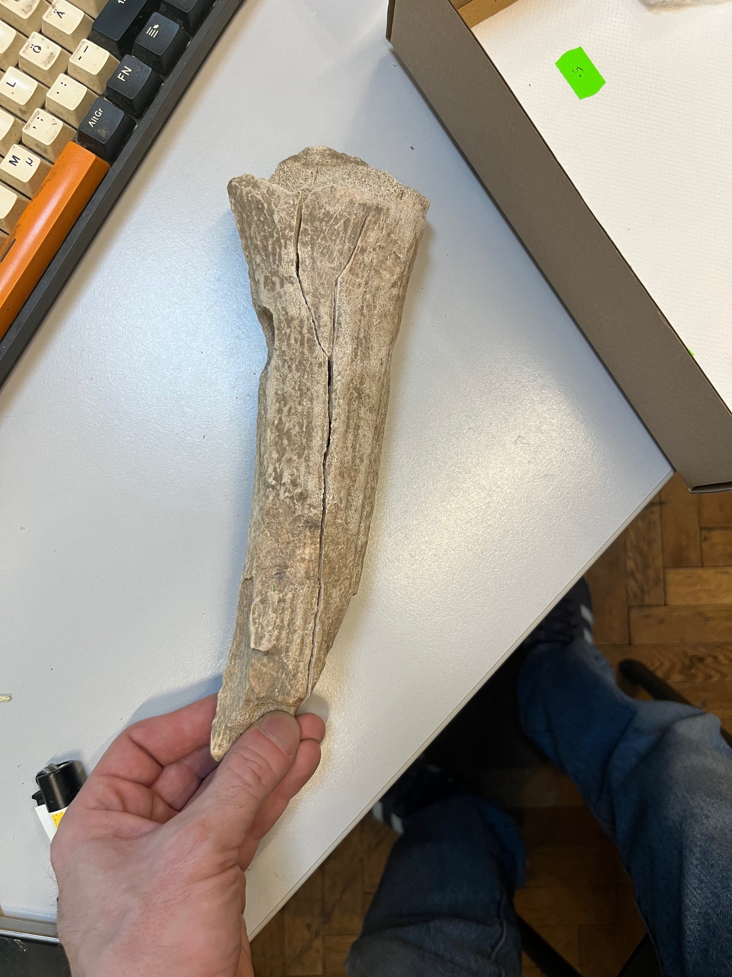 Altsteinzeitliche Geweihhacke mit Schaftloch – Paläolithikum / Mesolithikum